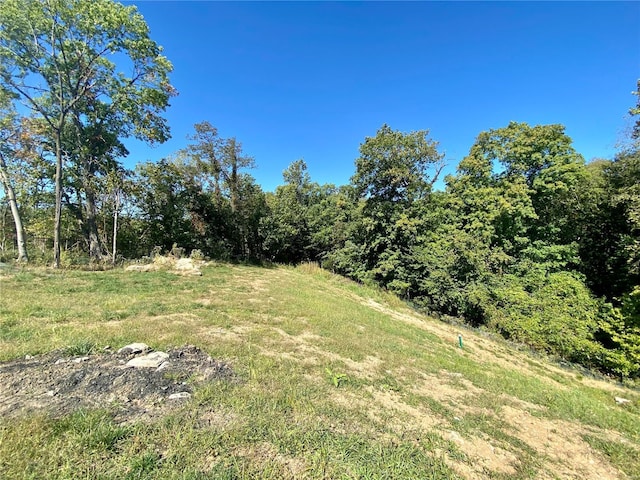 2045 Lily Ave, Kirkwood, MO 63122