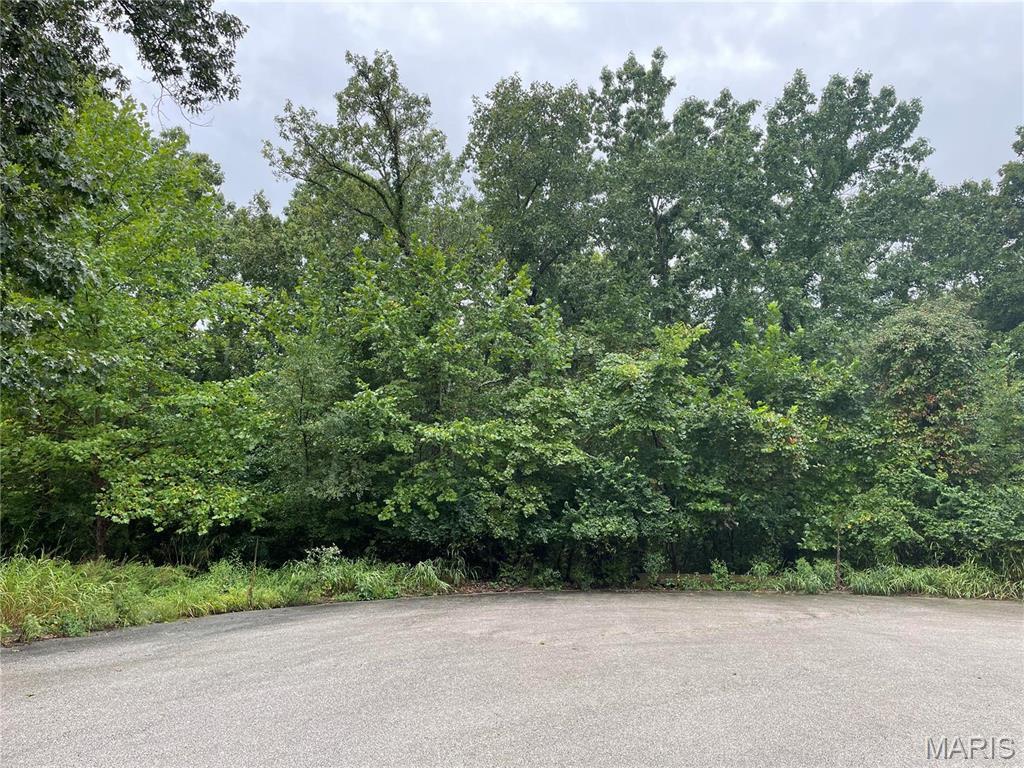 0 El Loma St, Waynesville, MO 65583 - photo 3