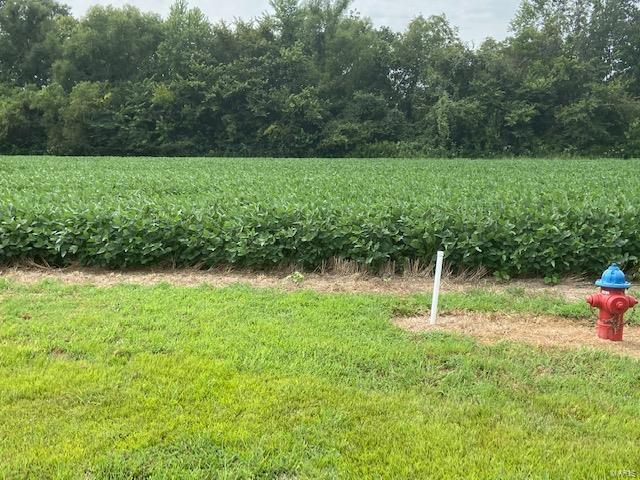0 Timber Creek Rd, Dexter, MO 63841
