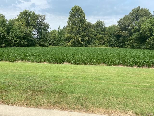 0 Brookfield Dr, Dexter, MO 63841