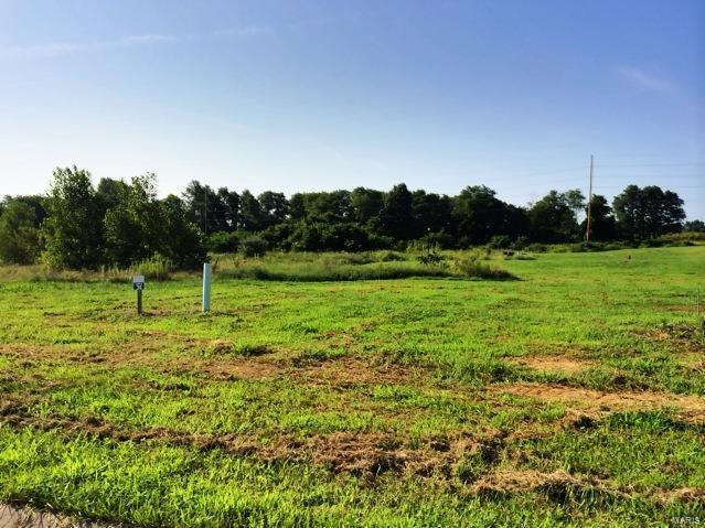 522 Cliff View Pl, Valmeyer, IL 62295