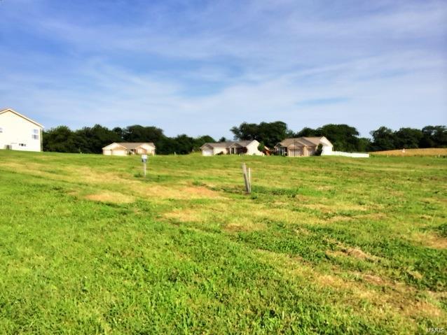 501 Bluff Meadows Dr, Valmeyer, IL 62295 - photo 1