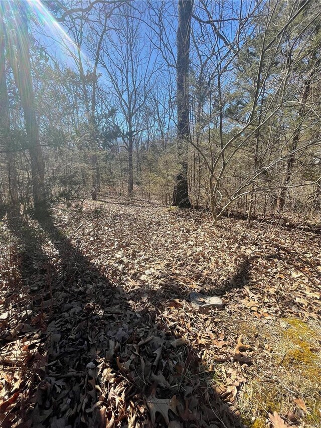 329 W Lakeview Dr, De Soto, MO 63020 - photo 3