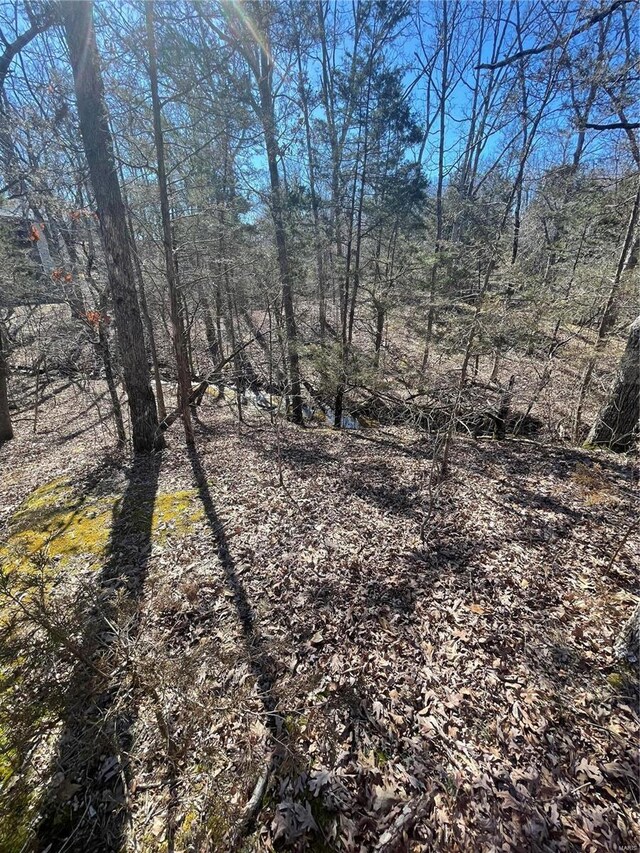 329 W Lakeview Dr, De Soto, MO 63020 - photo 7