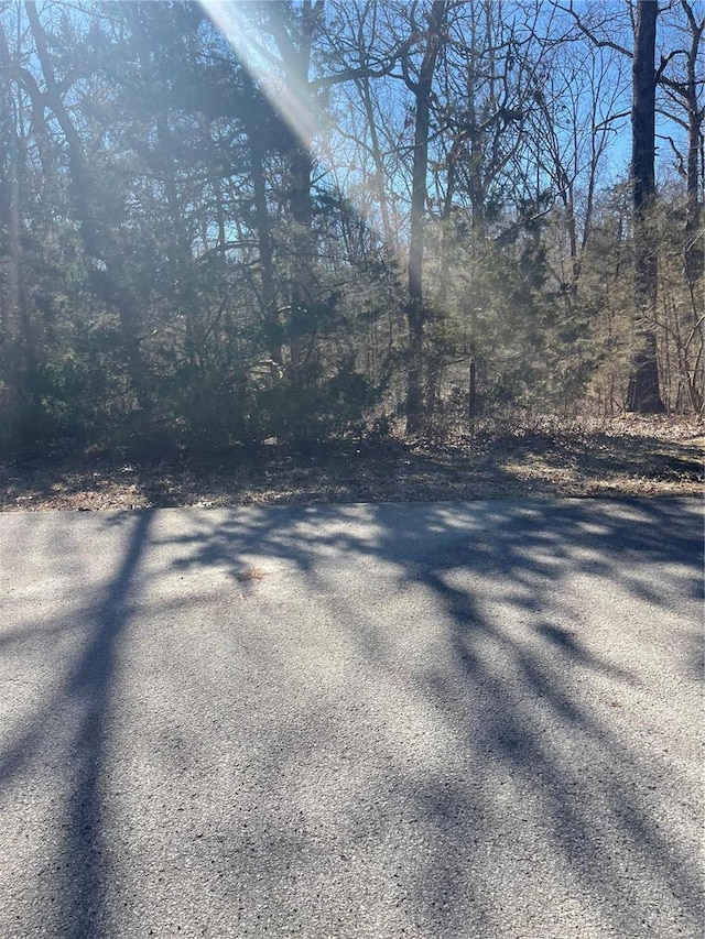 329 W Lakeview Dr, De Soto, MO 63020 - photo 8