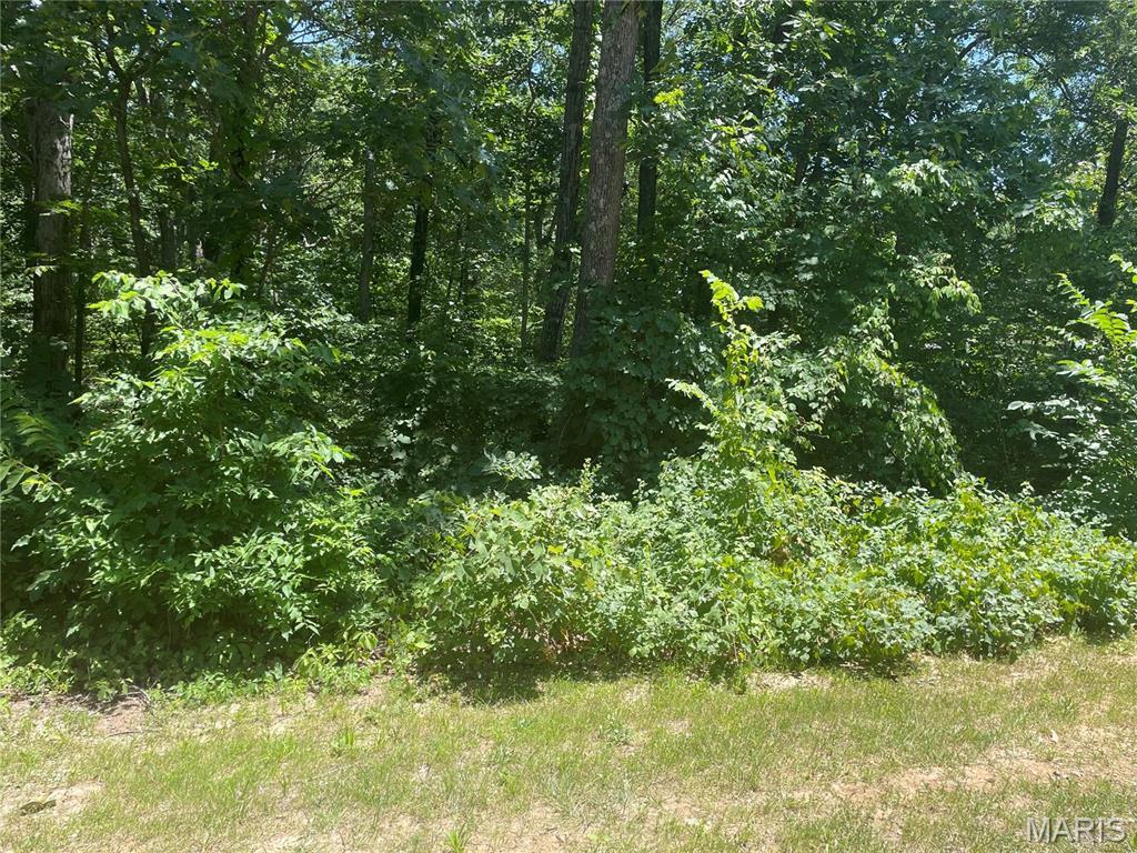 8 Huntington Hls, Warrenton, MO 63383 - photo 3