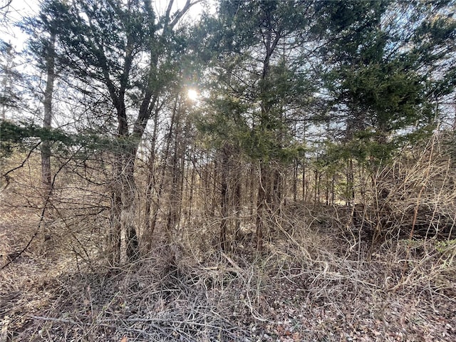 202 Valley Dr, De Soto, MO 63020 - photo 1