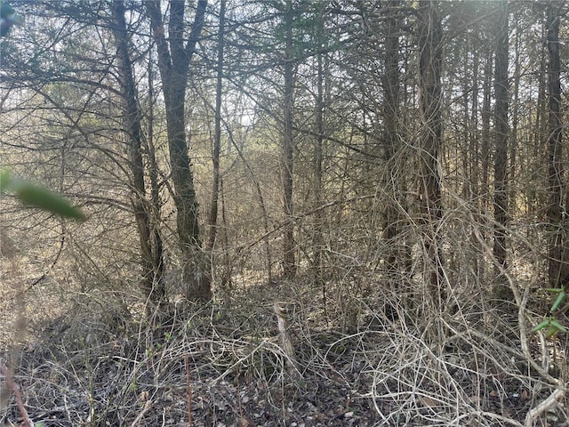 202 Valley Dr, De Soto, MO 63020 - photo 2