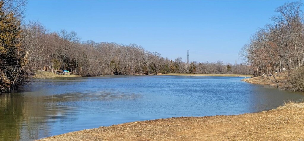 1829 Ridge Ln, Pacific, MO 63069 - photo 1