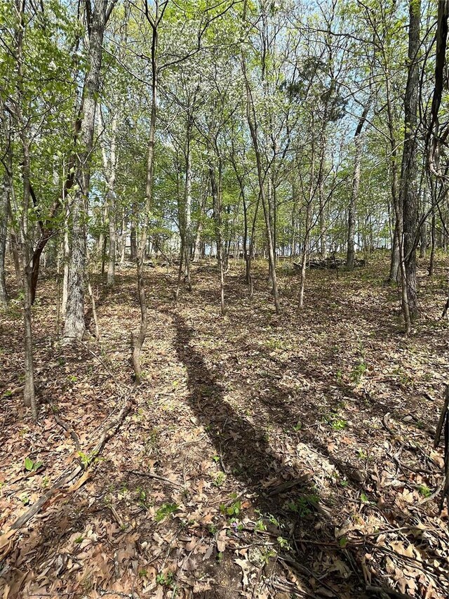 3539 Red Oak, Imperial, MO 63052 - photo 6