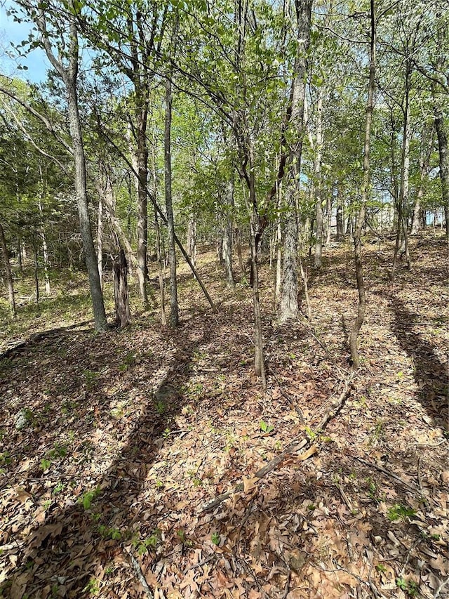3539 Red Oak, Imperial, MO 63052 - photo 7
