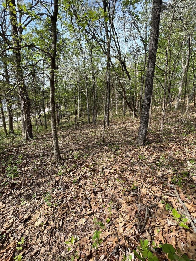 3539 Red Oak, Imperial, MO 63052 - photo 8