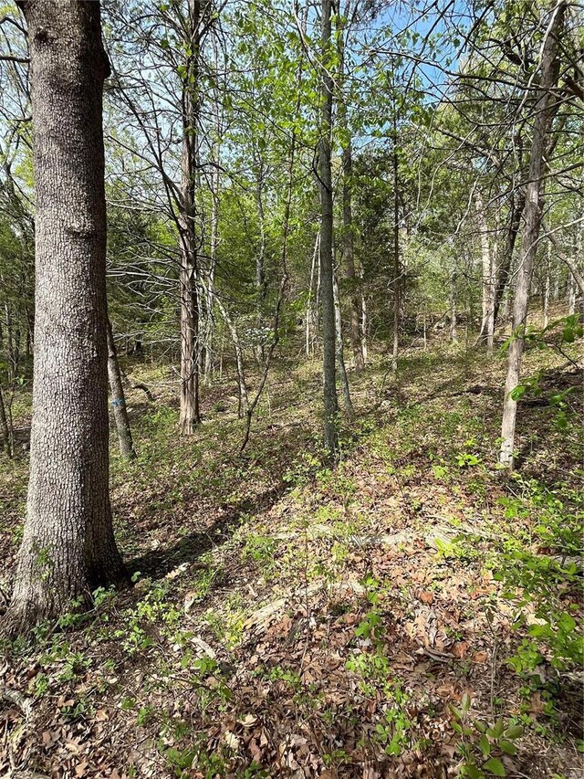 3539 Red Oak, Imperial, MO 63052 - photo 4
