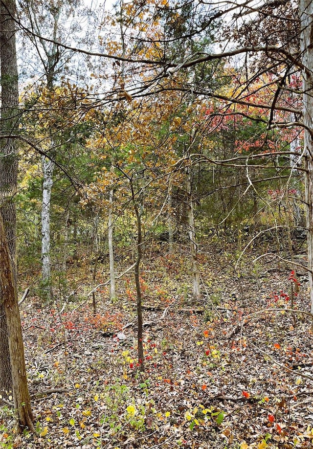3539 Red Oak, Imperial, MO 63052 - photo 2