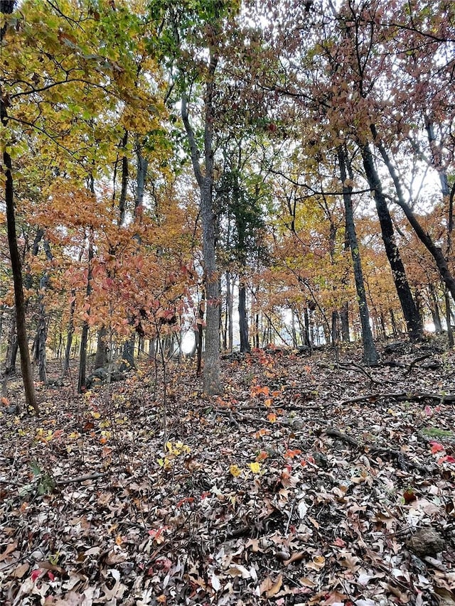3539 Red Oak, Imperial, MO 63052 - photo 3