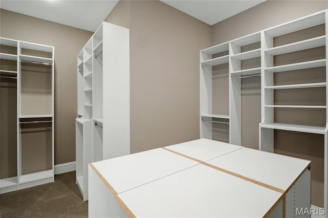 724 Silver Buck Ln, Chesterfield, MO 63005 - walk in closet with dark colored carpet