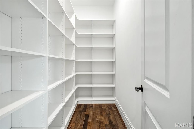 724 Silver Buck Ln, Chesterfield, MO 63005 - view of storage area