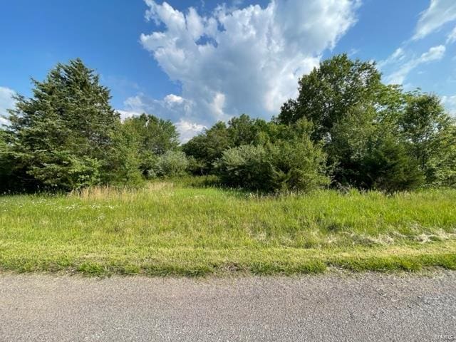 0 Napa Pl, Rolla, MO 65401 - photo 2