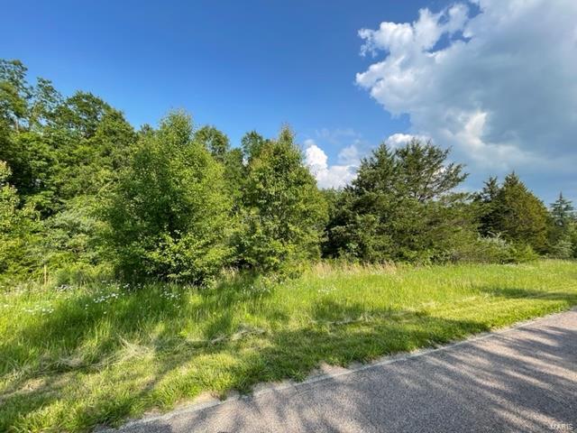 0 Napa Pl, Rolla, MO 65401 - photo 3