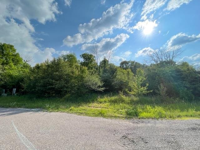 0 Napa Pl, Rolla, MO 65401 - photo 6
