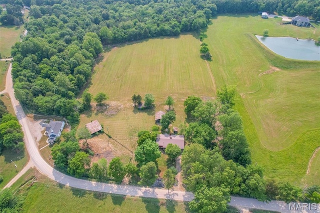 607 County Road 423, Poplar Bluff, MO 63901 - aerial view of property's location with a large body of water
