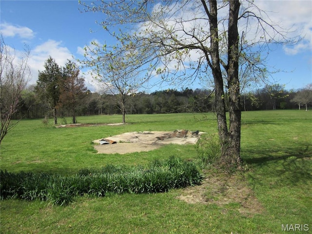 607 County Road 423, Poplar Bluff, MO 63901 - view of grassy yard