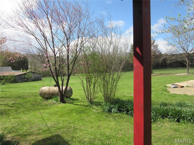 607 County Road 423, Poplar Bluff, MO 63901 - view of green lawn