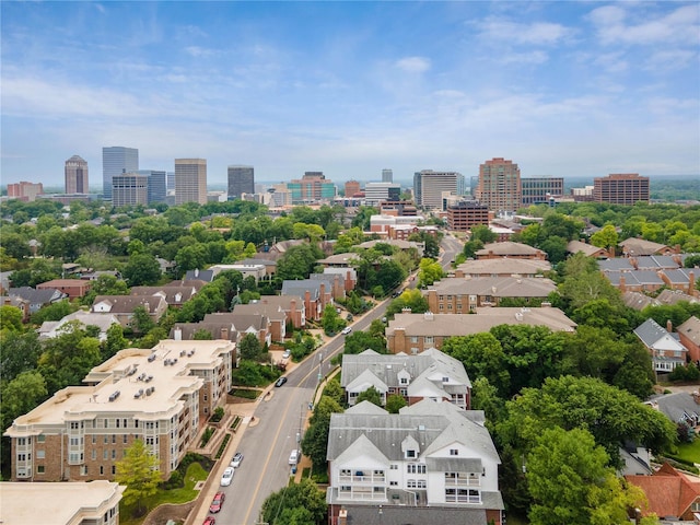 505 N And S Rd Unit 3C, University City, MO 63130 - bird's eye view of a skyline view