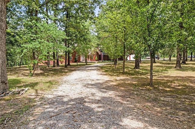 4239 Carter Rte Unit B, Ellsinore, MO 63937 - view of dirt / gravel driveway