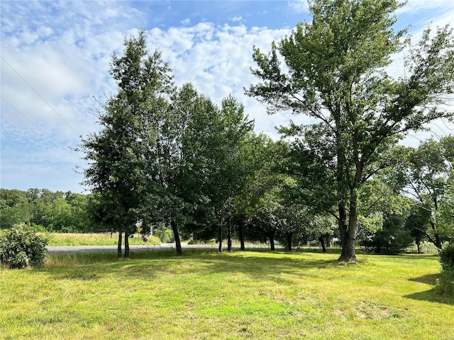 22164 State Route Kk, St James, MO 65559 - view of grassy yard