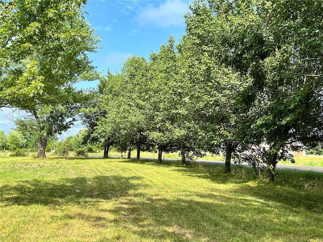 22164 State Route Kk, St James, MO 65559 - view of grassy yard