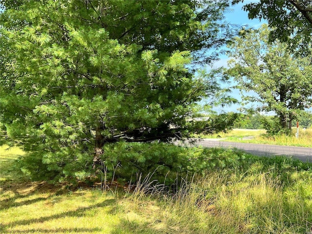 22164 State Route Kk, St James, MO 65559 - view of nature