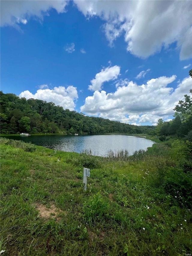 9100 Hill Dr, Bonne Terre, MO 63628
