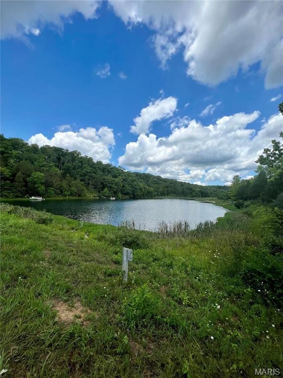 9100 Hill Dr, Bonne Terre, MO 63628