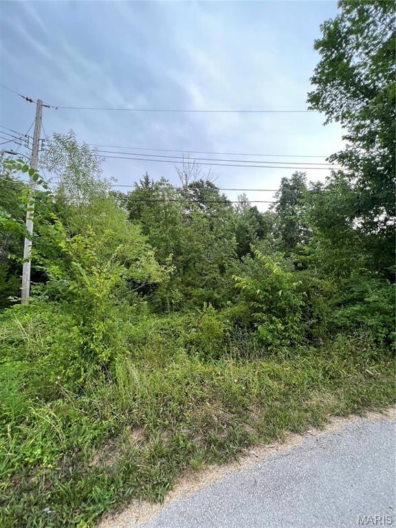 13569 E Sunrise Lake Dr, De Soto, MO 63020 - photo 2