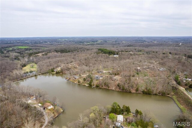 13569 E Sunrise Lake Dr, De Soto, MO 63020 - photo 3