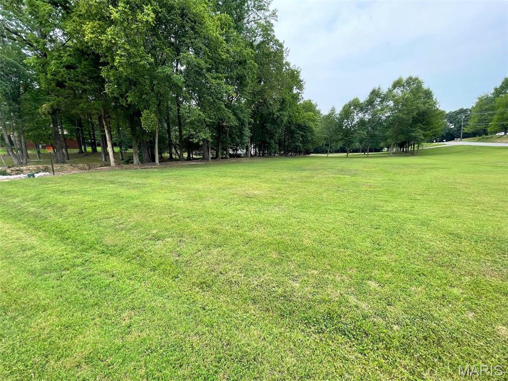0 Woodcreek Dr, Dexter, MO 63841 - photo 1