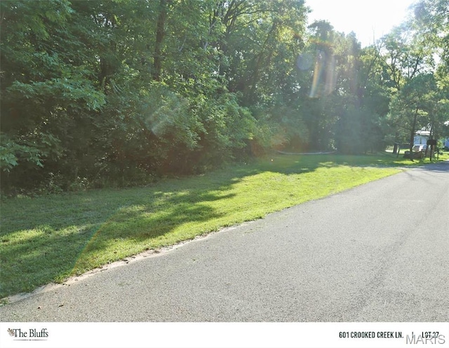 601 Crooked Creek Ln, Eureka, MO 63025 - photo 6