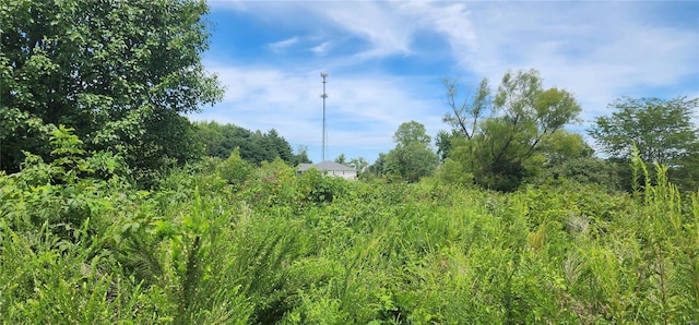 85 Maggie Ln, Makanda, IL 62958