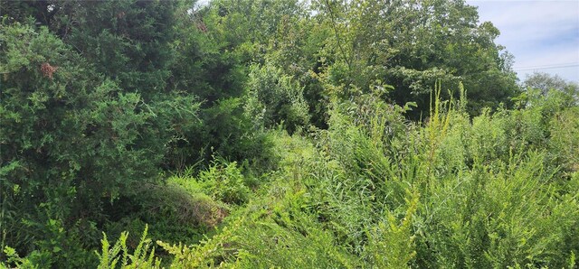 85 Maggie Ln, Makanda, IL 62958