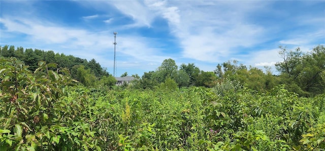 85 Maggie Ln, Makanda, IL 62958