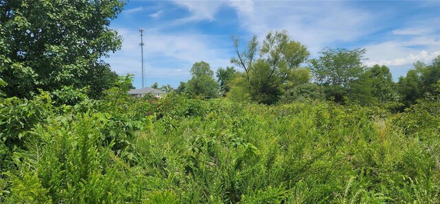 85 Maggie Ln, Makanda, IL 62958