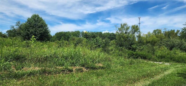 85 Maggie Ln, Makanda, IL 62958