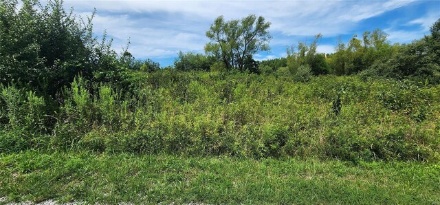 85 Maggie Ln, Makanda, IL 62958