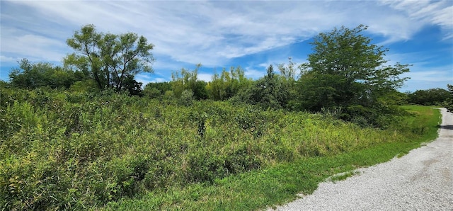 85 Maggie Ln, Makanda, IL 62958