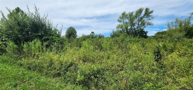 85 Maggie Ln, Makanda, IL 62958