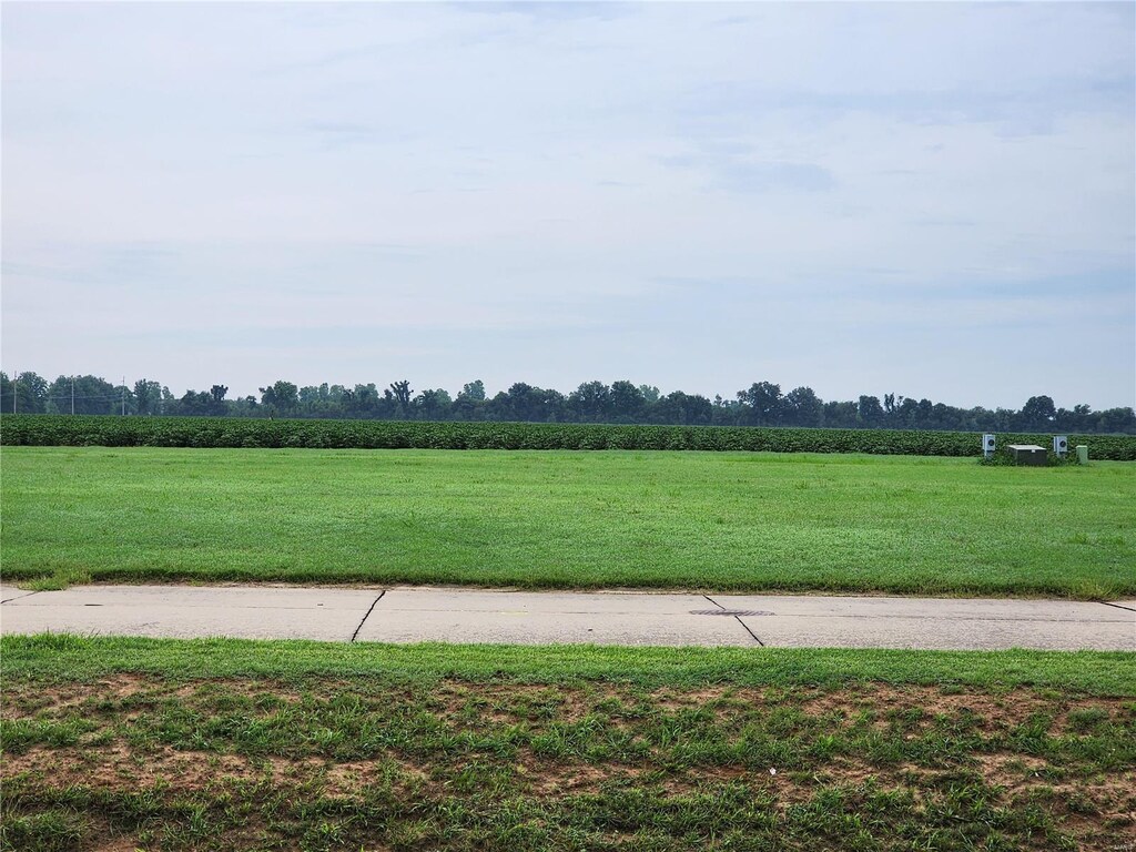 804 Bollweevil Blvd, Sikeston, MO 63801