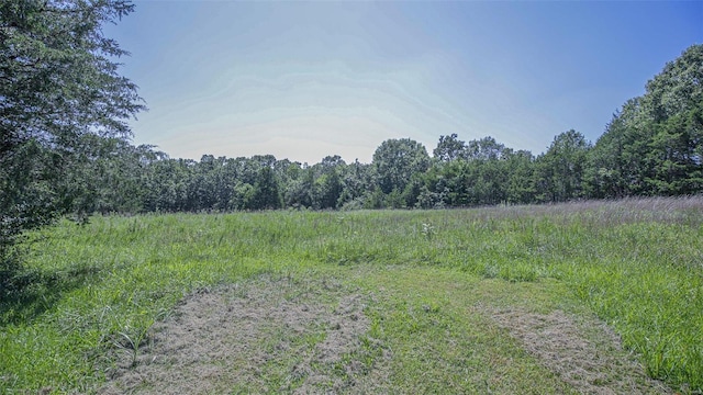 3340 Stonehouse Rd, De Soto, MO 63020 - view of wooded area