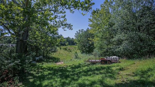 3340 Stonehouse Rd, De Soto, MO 63020 - view of yard