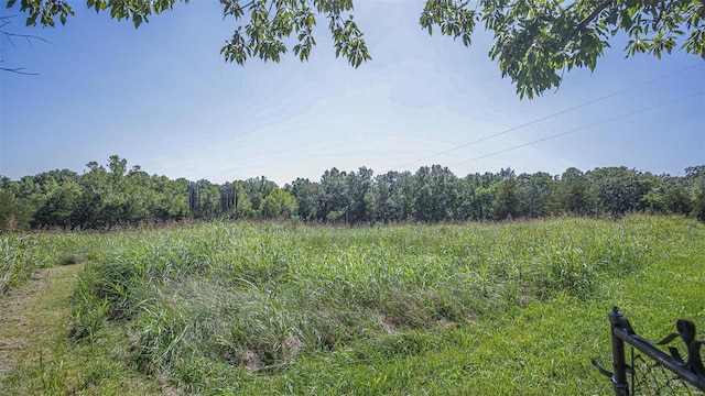 3340 Stonehouse Rd, De Soto, MO 63020 - view of woods
